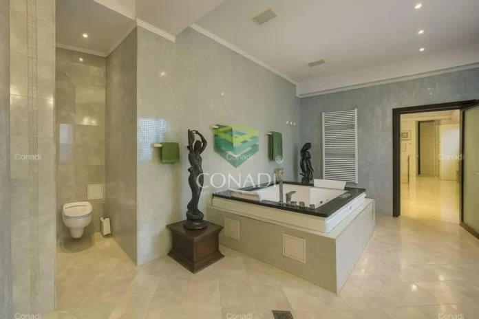 226774177-1024x683-1